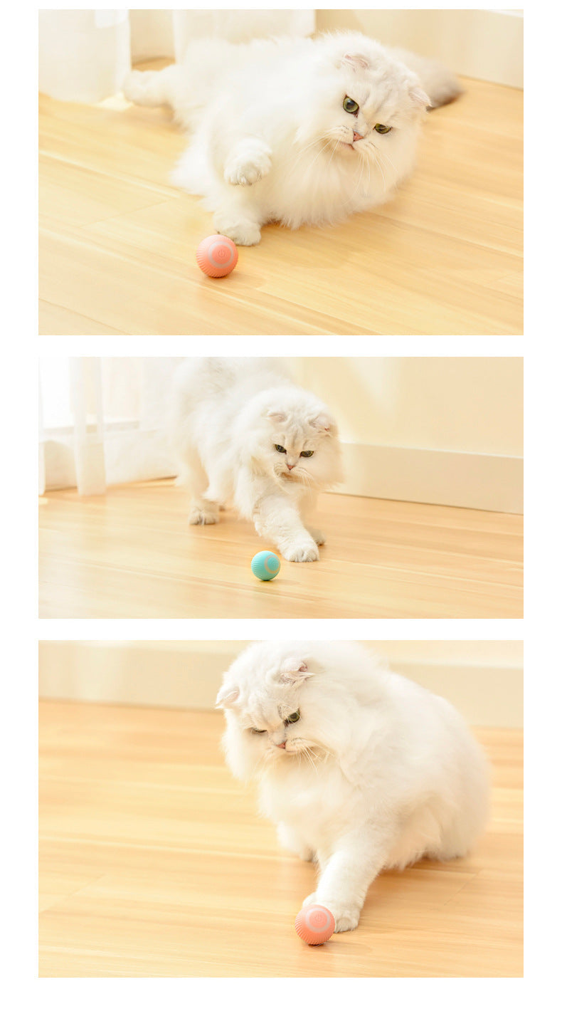 Smart Rolling Cat Teaser – Automatic Interactive Toy